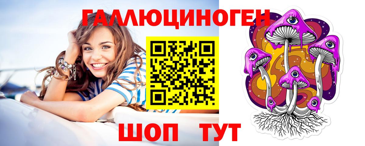 Псилоцибиновые грибы Cubensis Томск